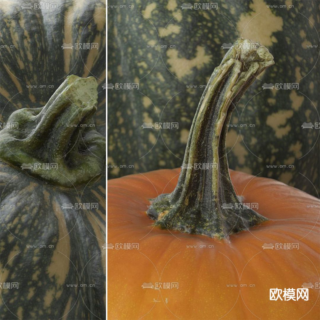 现代蔬菜南瓜3d模型下载（渲染图3）