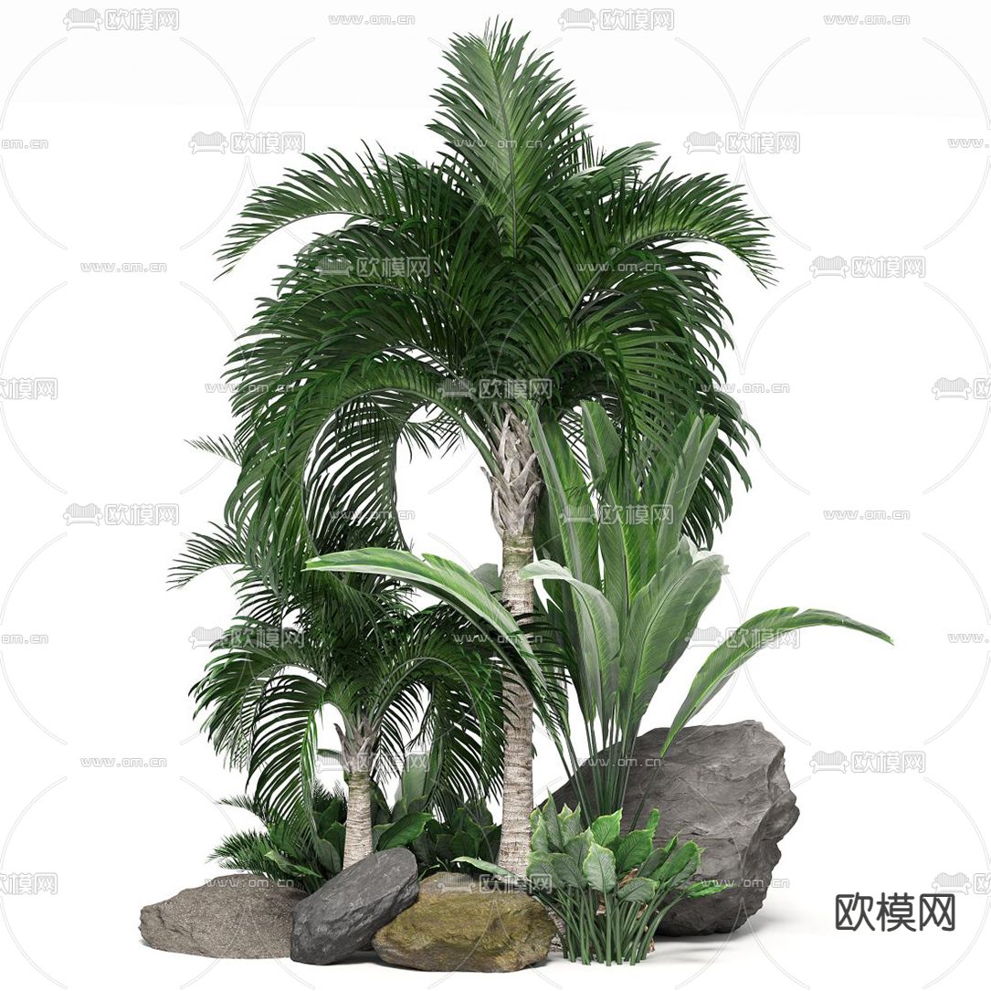 现代景观石热带植物小品3d模型