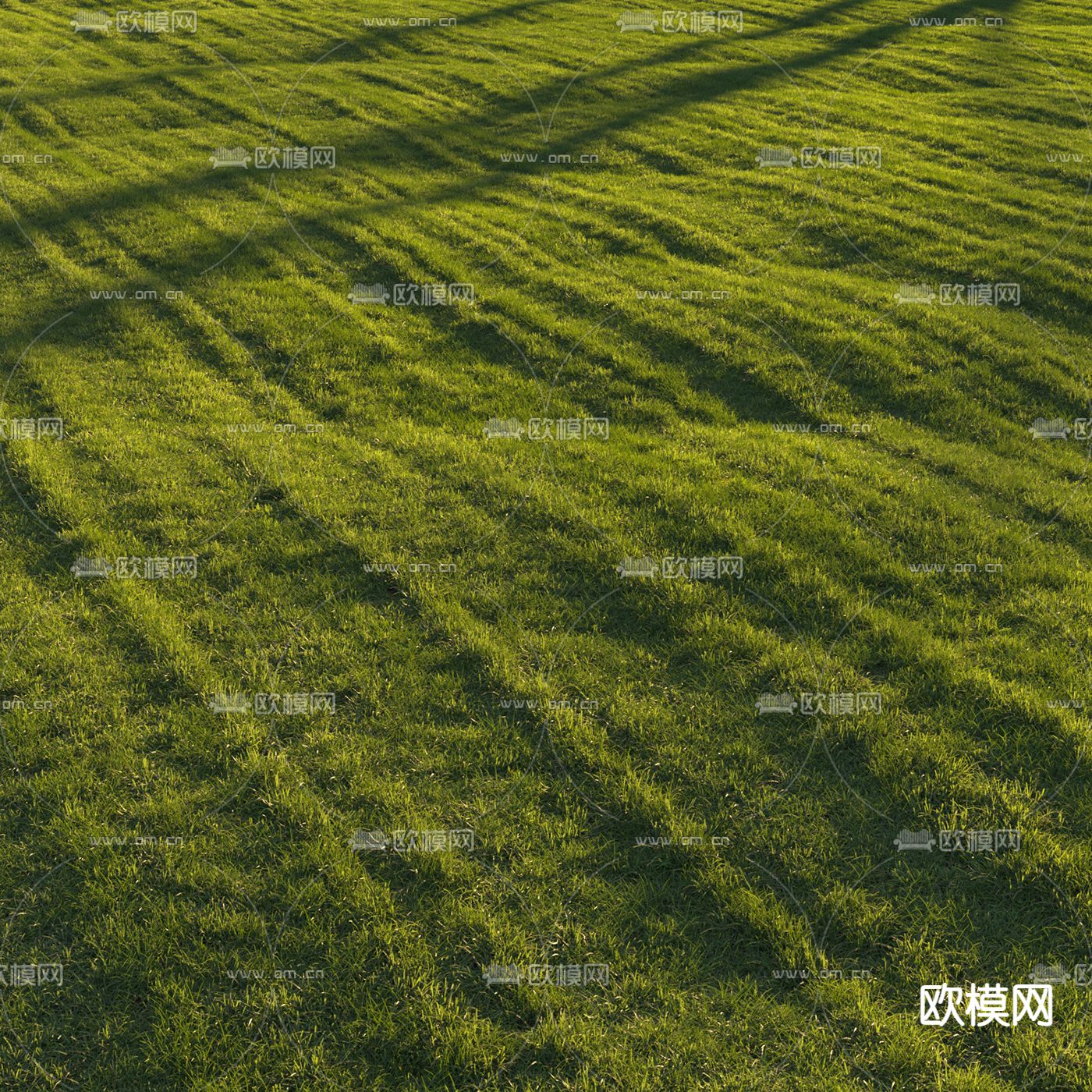 现代草坪草地3d模型下载（渲染图3）