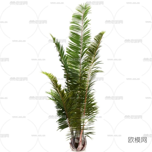 现代绿植灌木免费3d模型下载