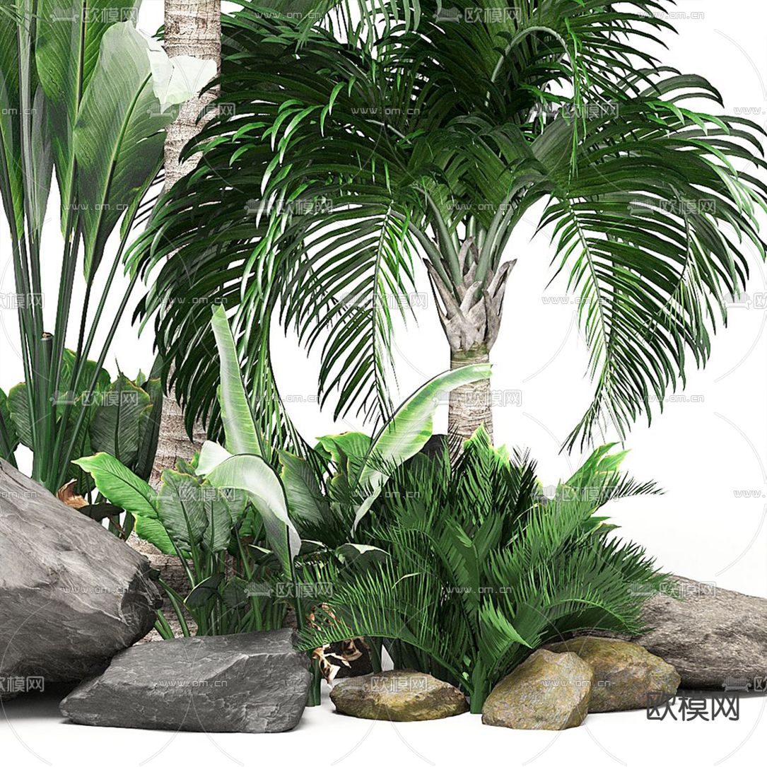 现代景观石热带植物小品3d模型