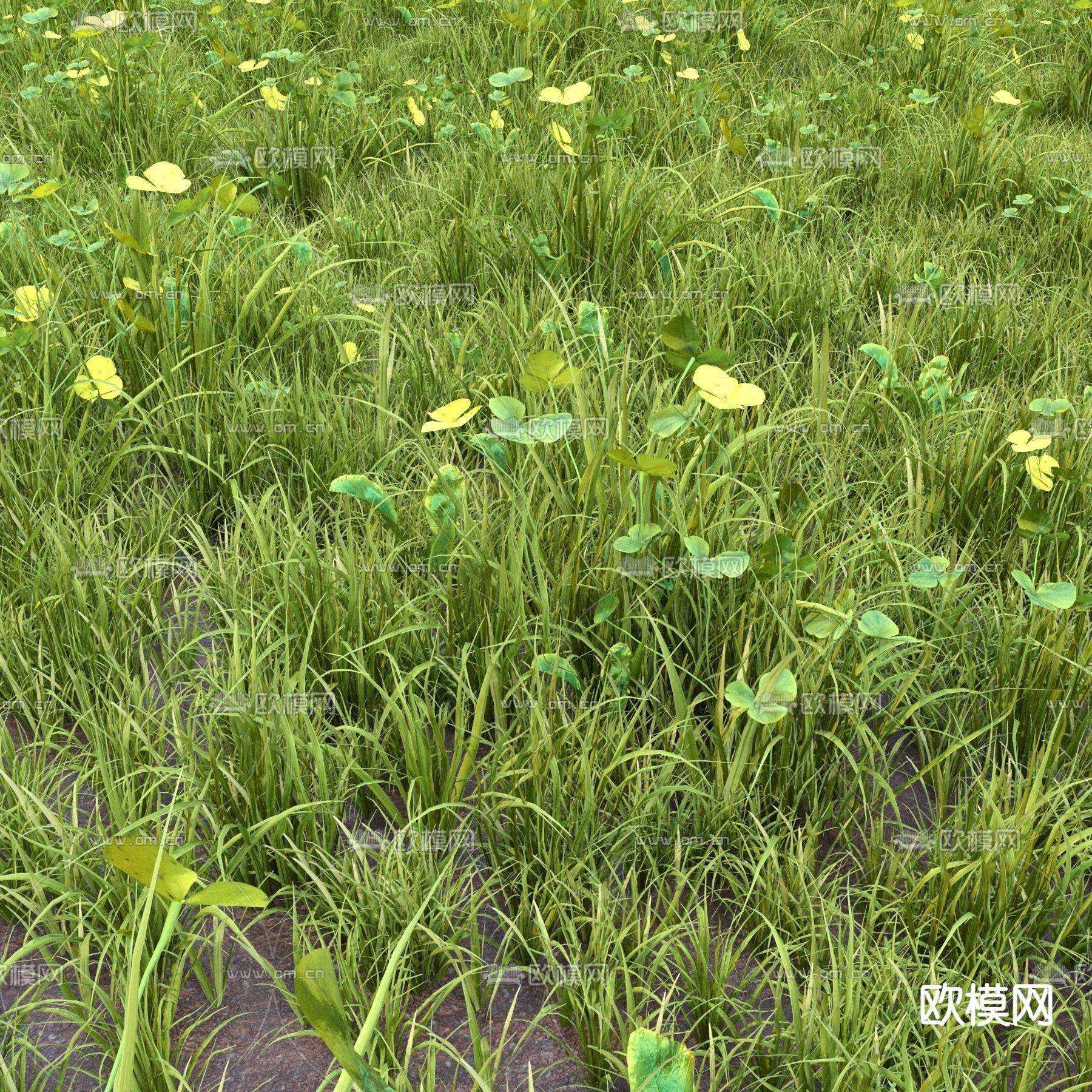 现代草地草坪3d模型