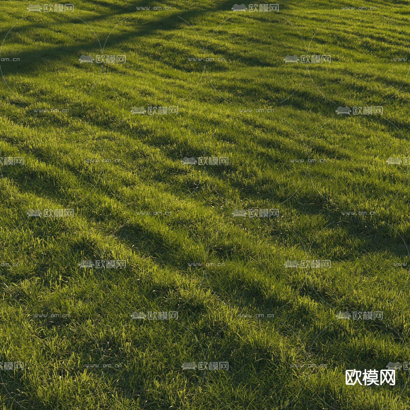 现代草坪草地3d模型下载（渲染图2）