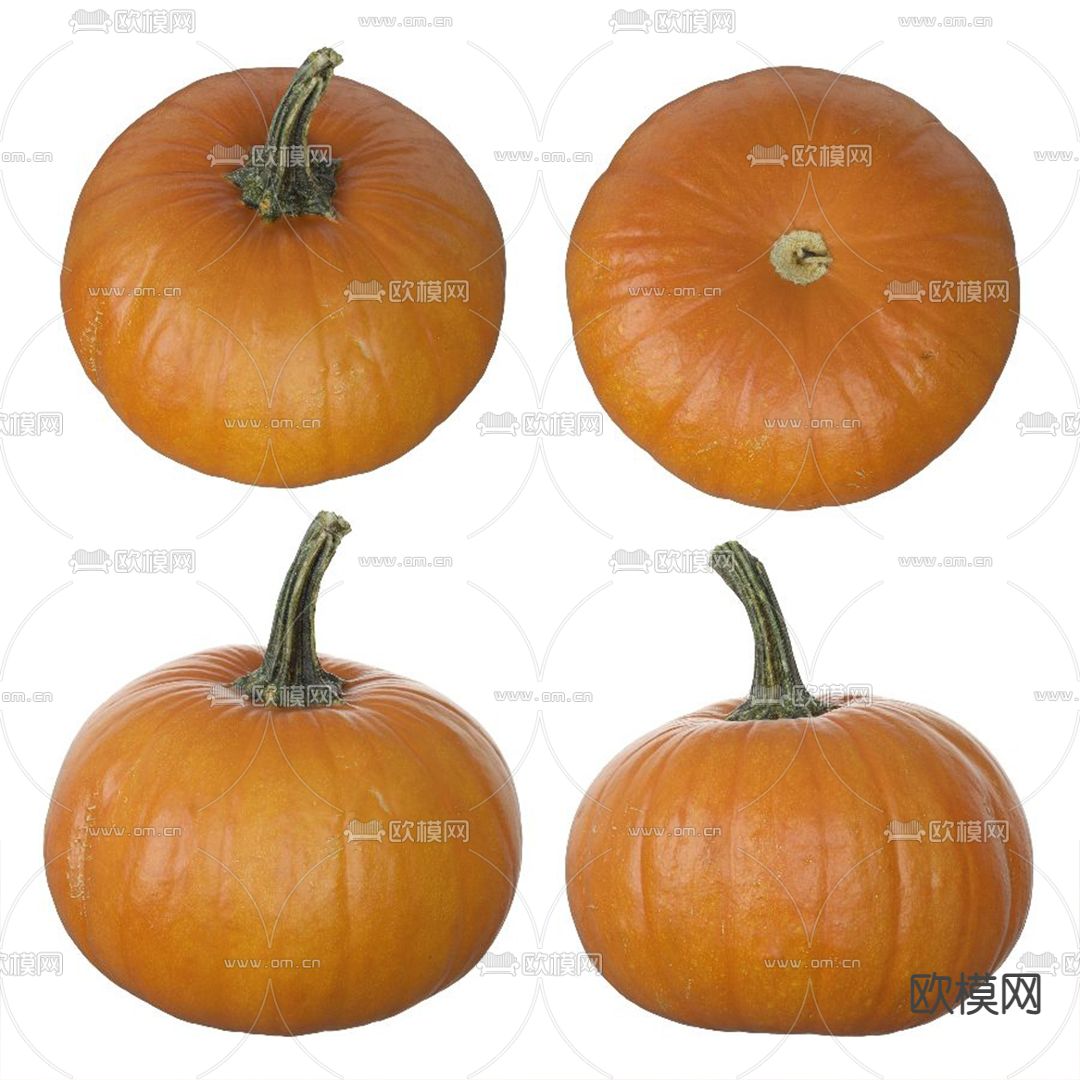 现代蔬菜南瓜3d模型下载（渲染图1）