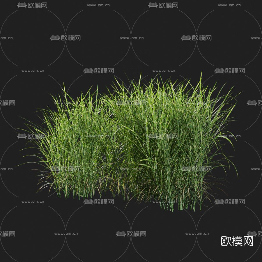 现代绿植草免费3d模型下载_ID11612665_3dmax免费模型-欧模网