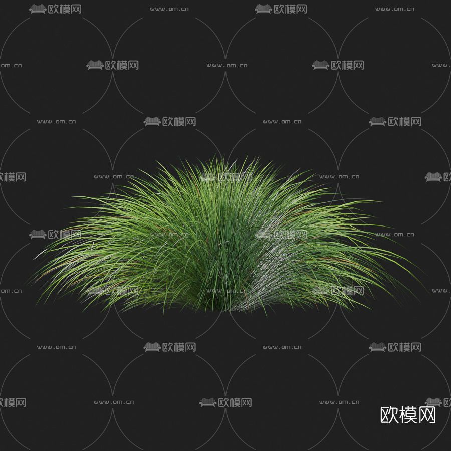 现代绿植草免费3d模型下载