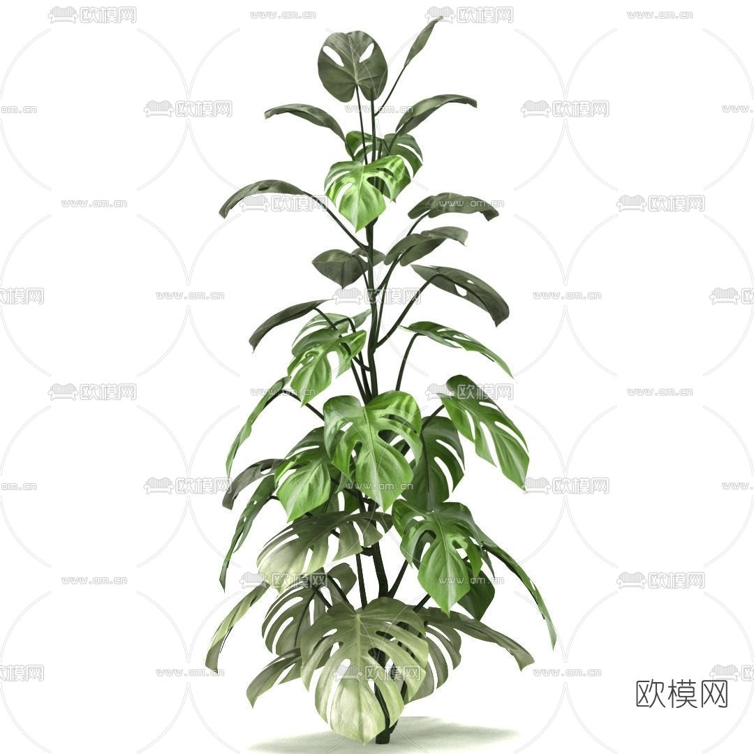 现代绿植草免费3d模型下载