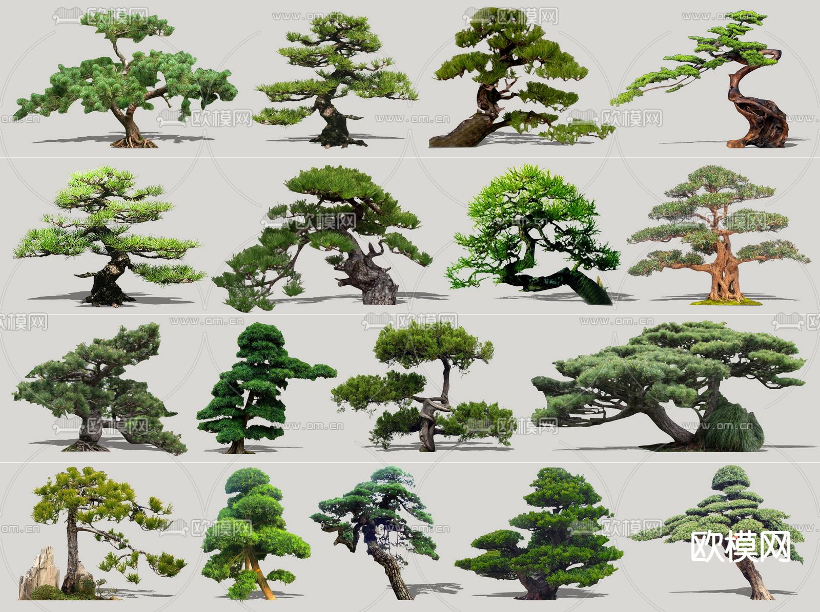 现代景观松su模型