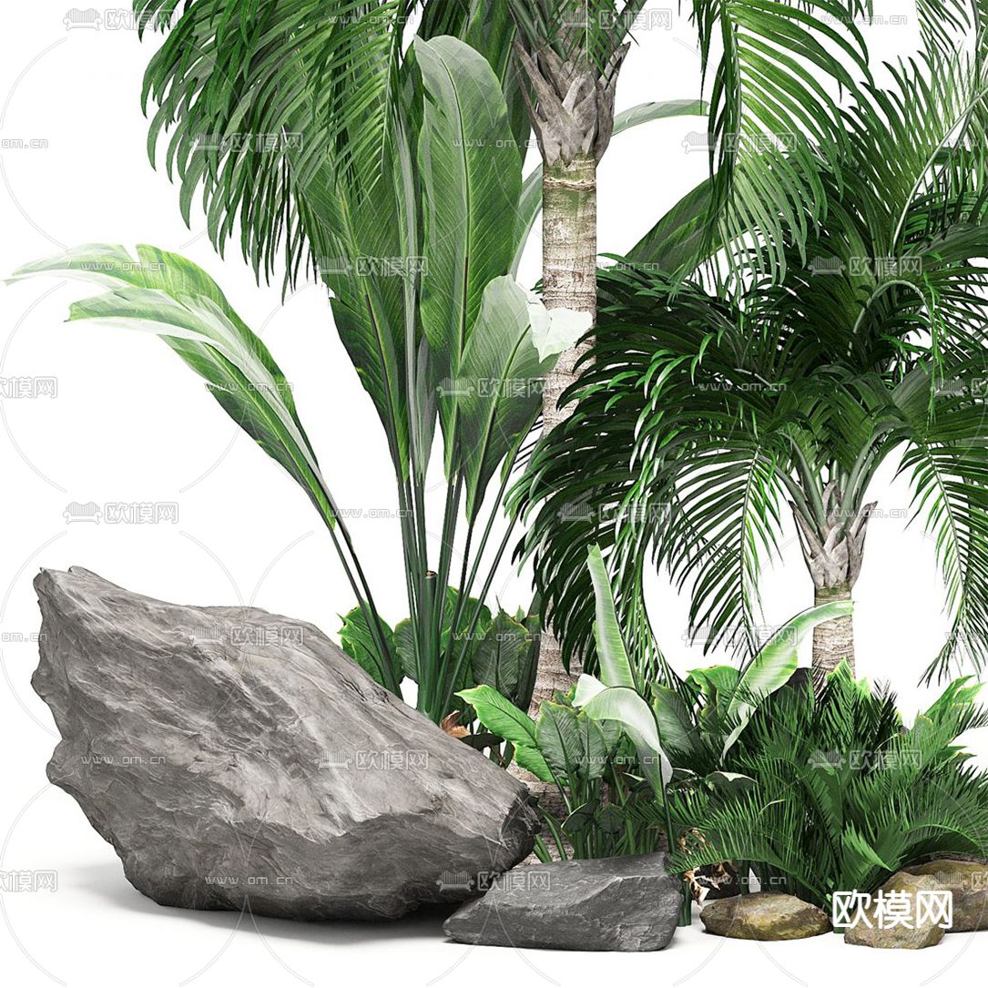 现代景观石热带植物小品3d模型