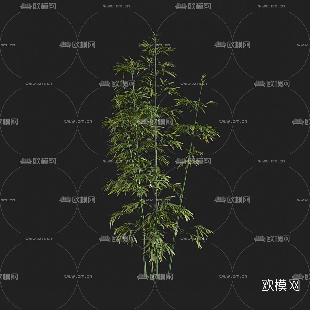 现代绿植细竹免费3d模型下载