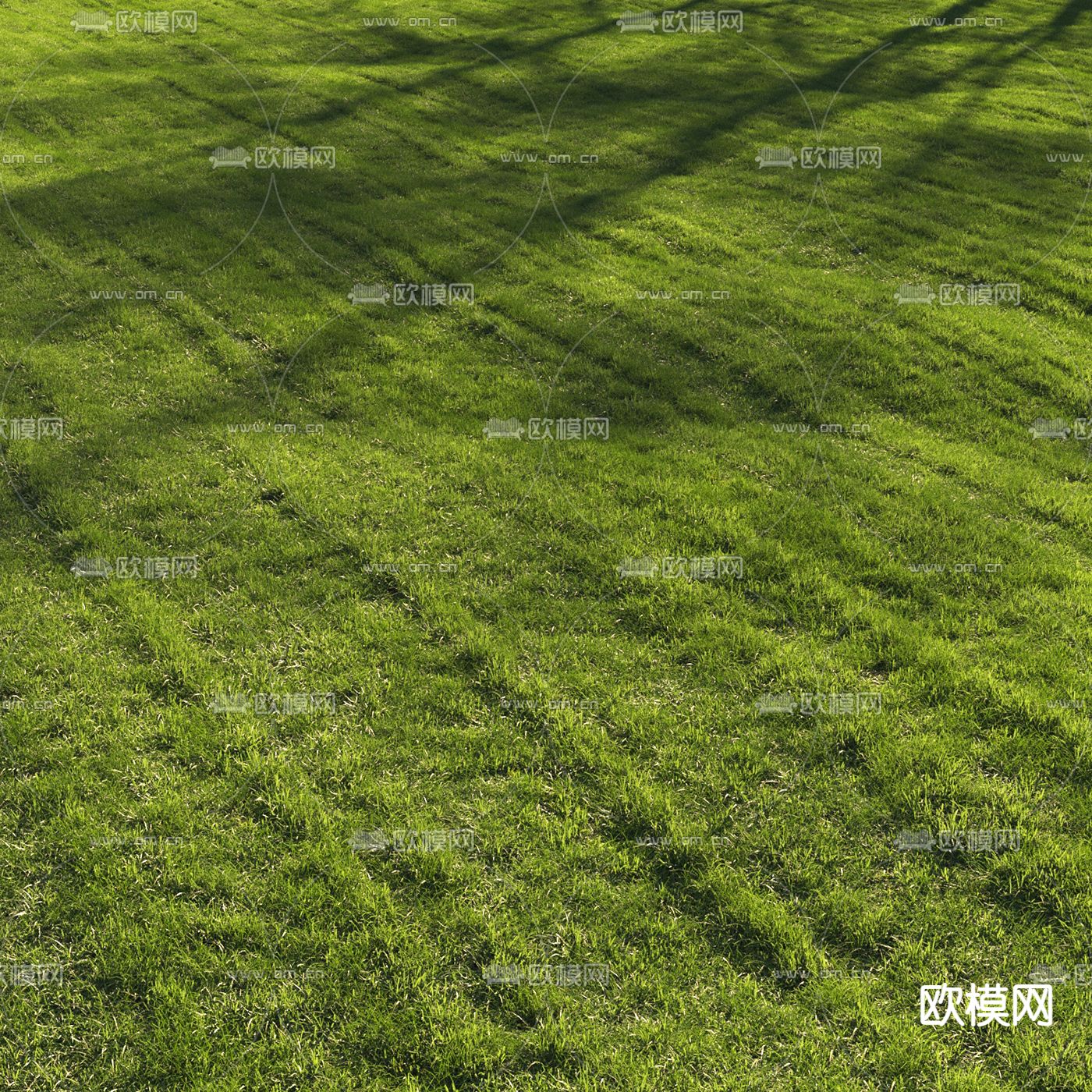 现代草坪草地3d模型下载（渲染图1）