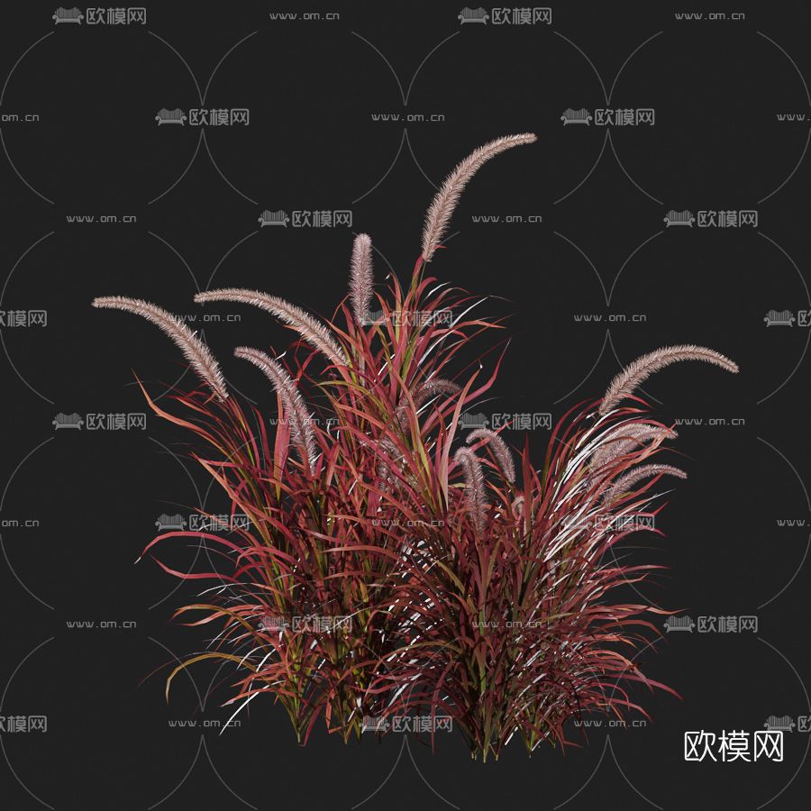 现代红叶草免费3d模型下载_ID11612664_3dmax免费模型-欧模网