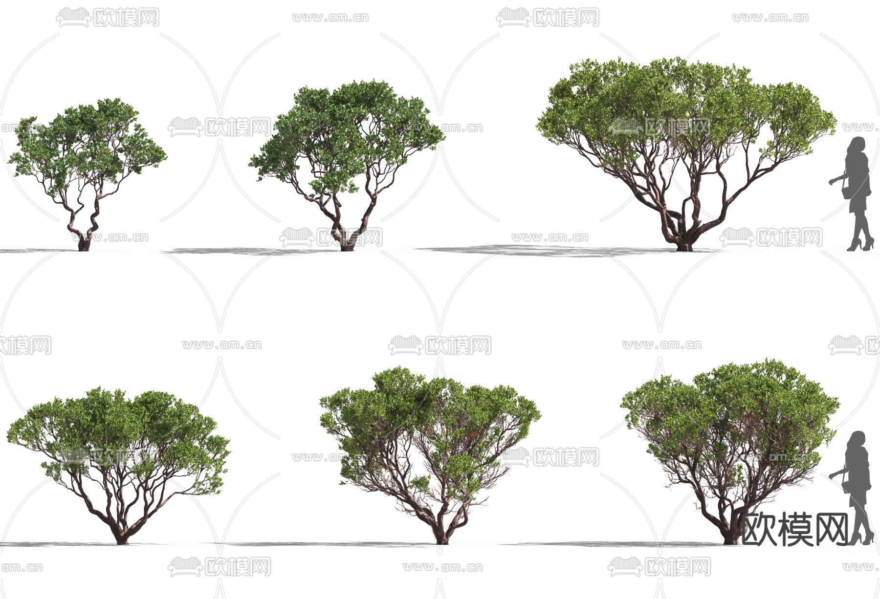 现代树木景观树3d模型