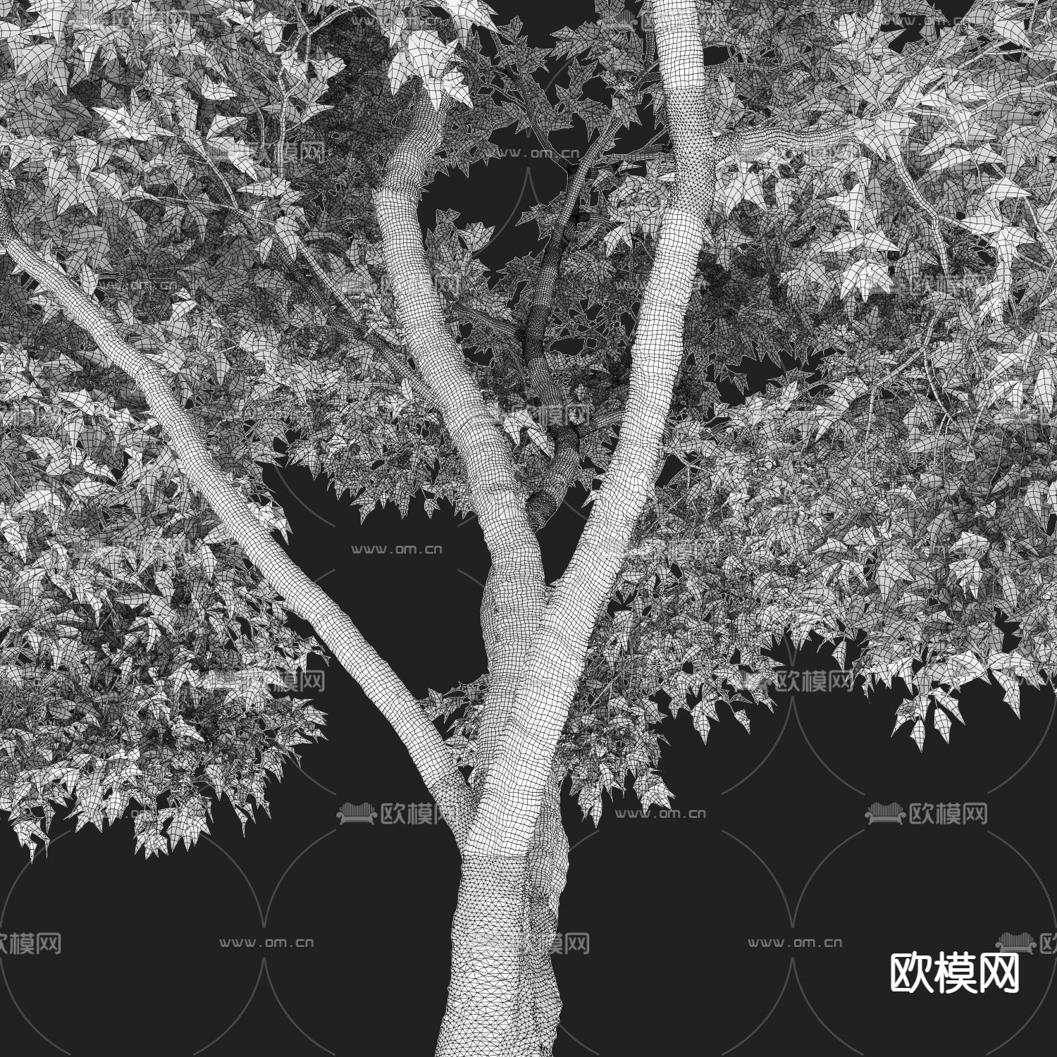 现代植物景观树3d模型