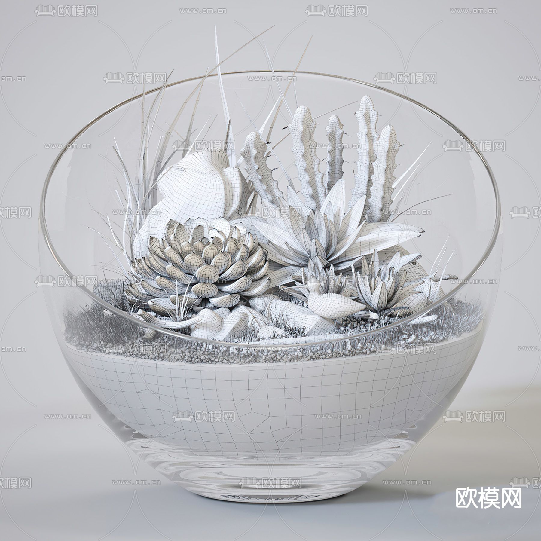 现代桌面多肉绿植3d模型