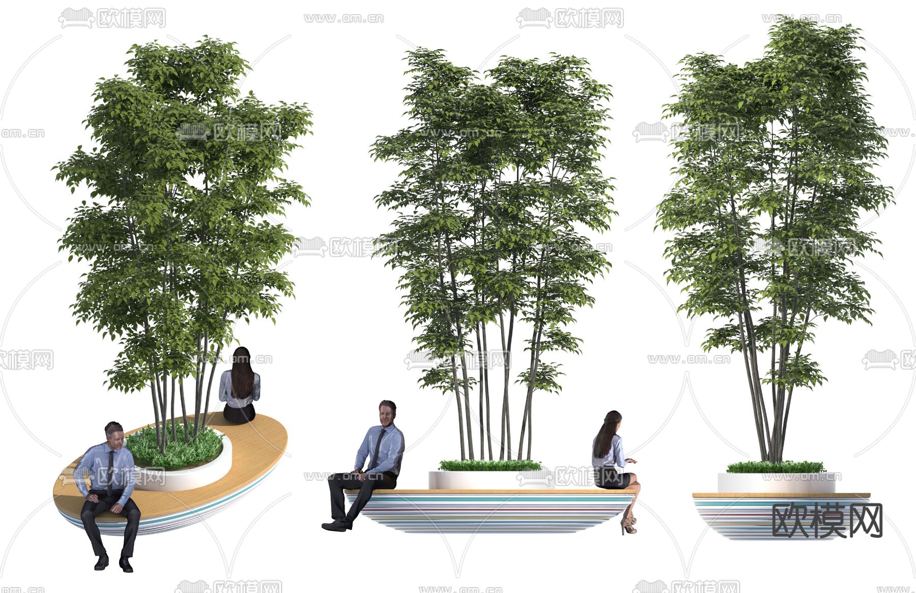 现代公园树池景观树3d模型