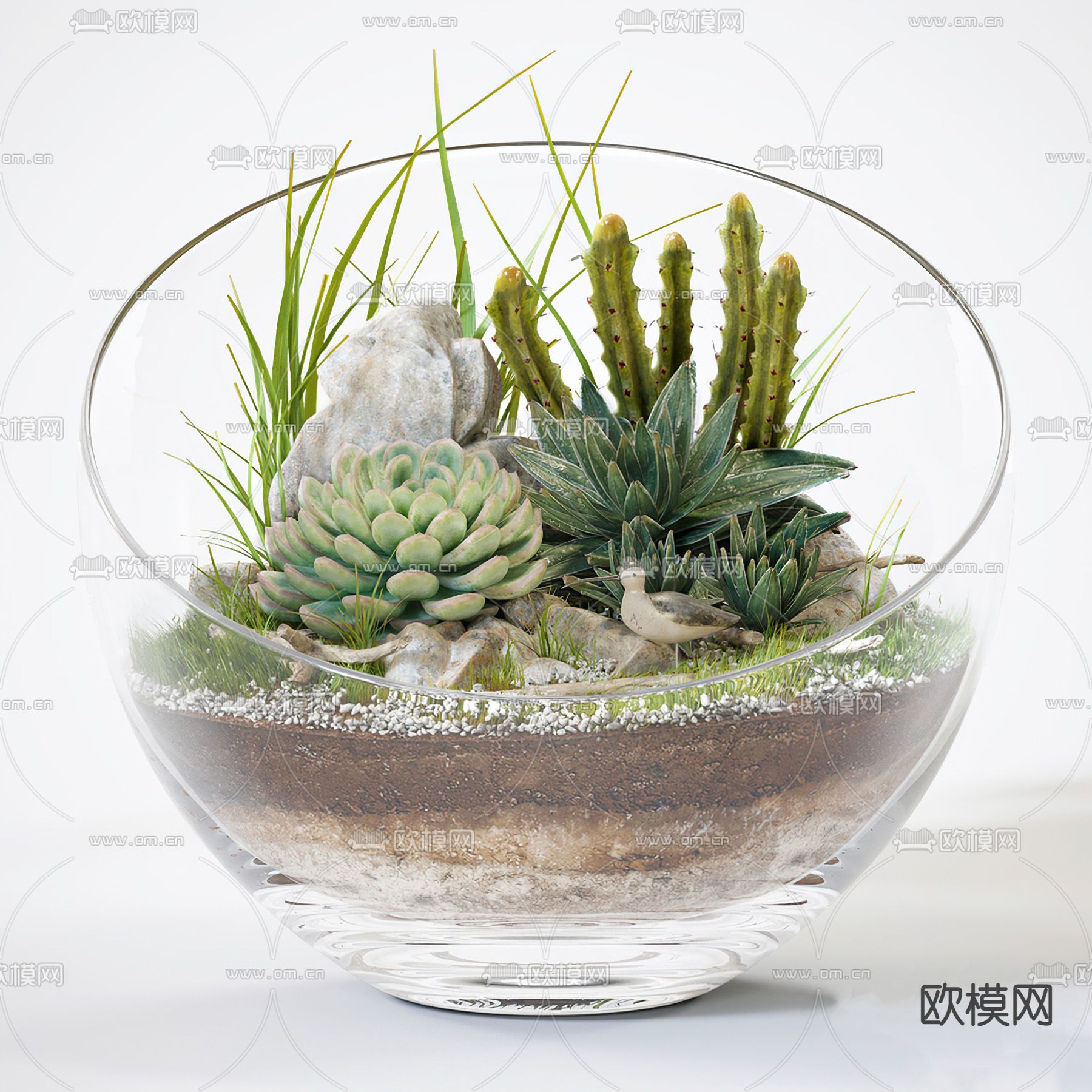 现代桌面多肉绿植3d模型