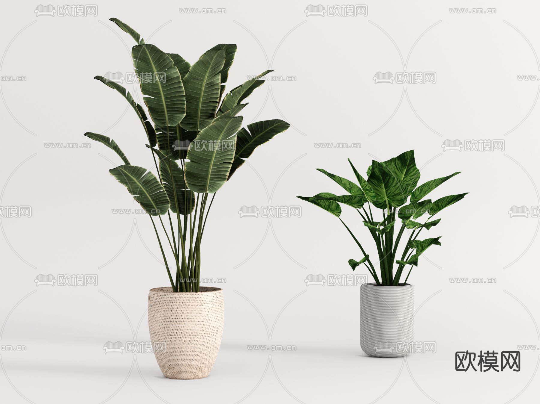现代绿植盆栽su模型