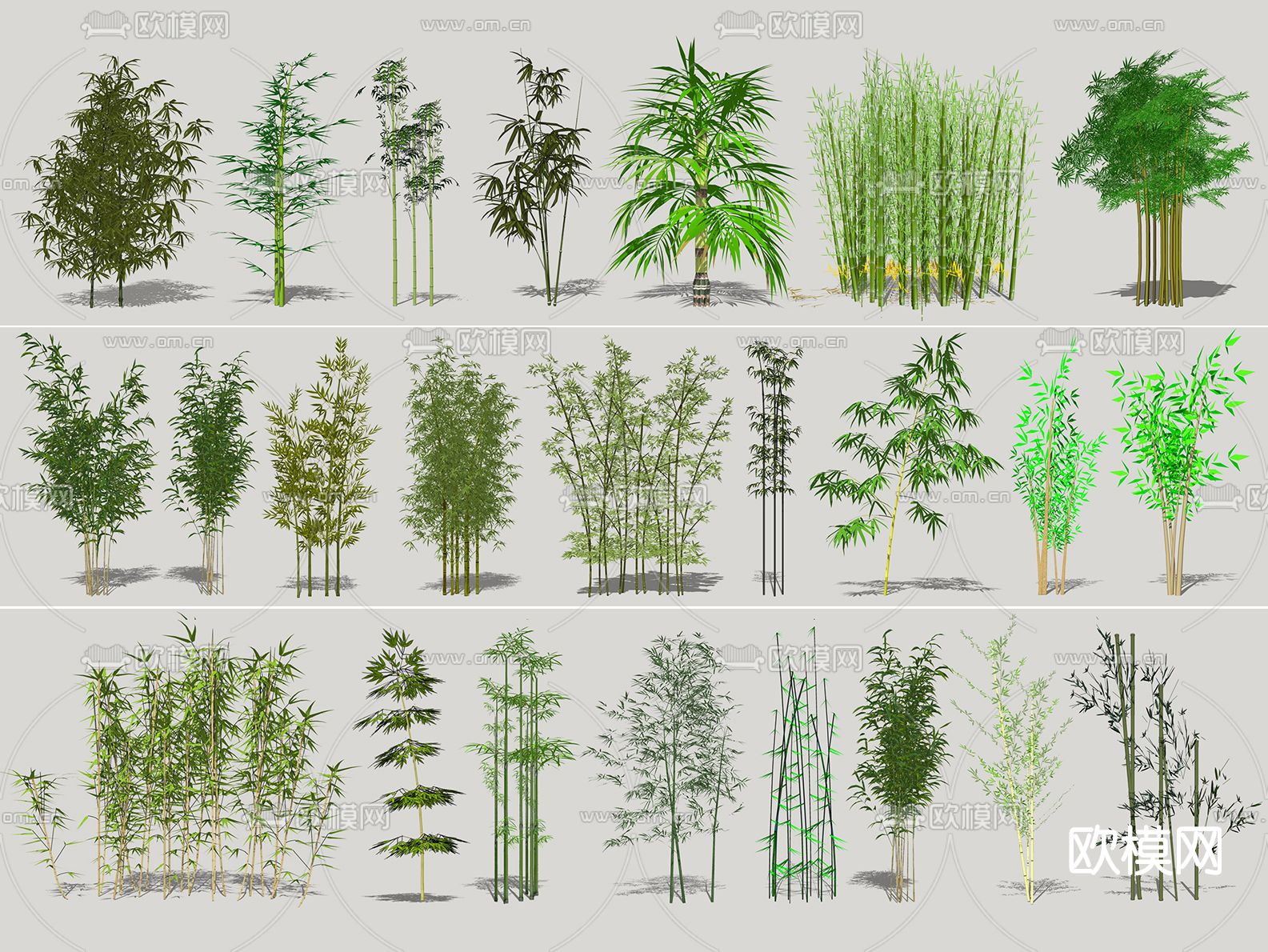 现代竹子su模型下载（渲染图2）