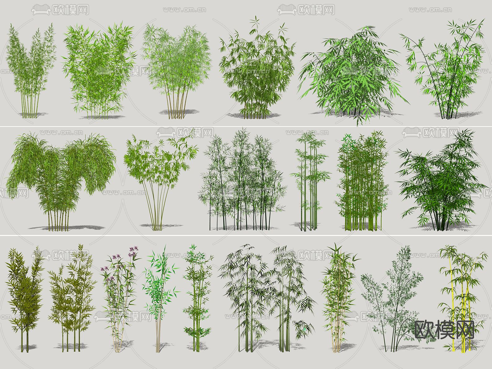 现代竹子su模型下载（渲染图1）
