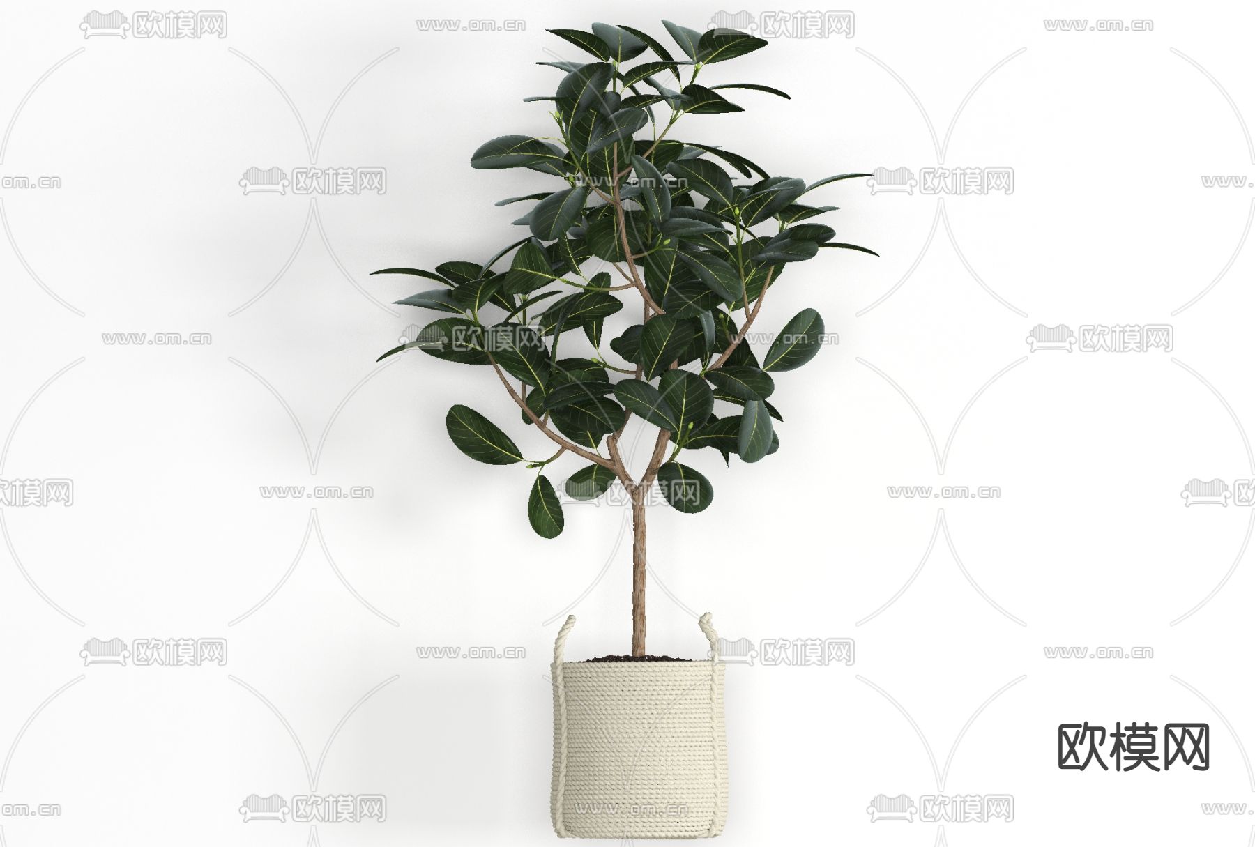 北欧绿植盆栽免费3d模型下载