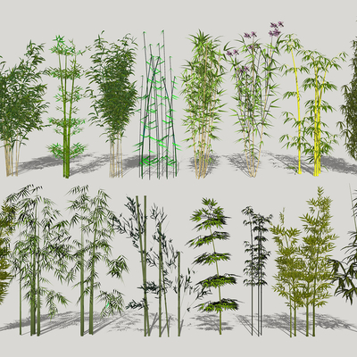  中式竹子su模型 