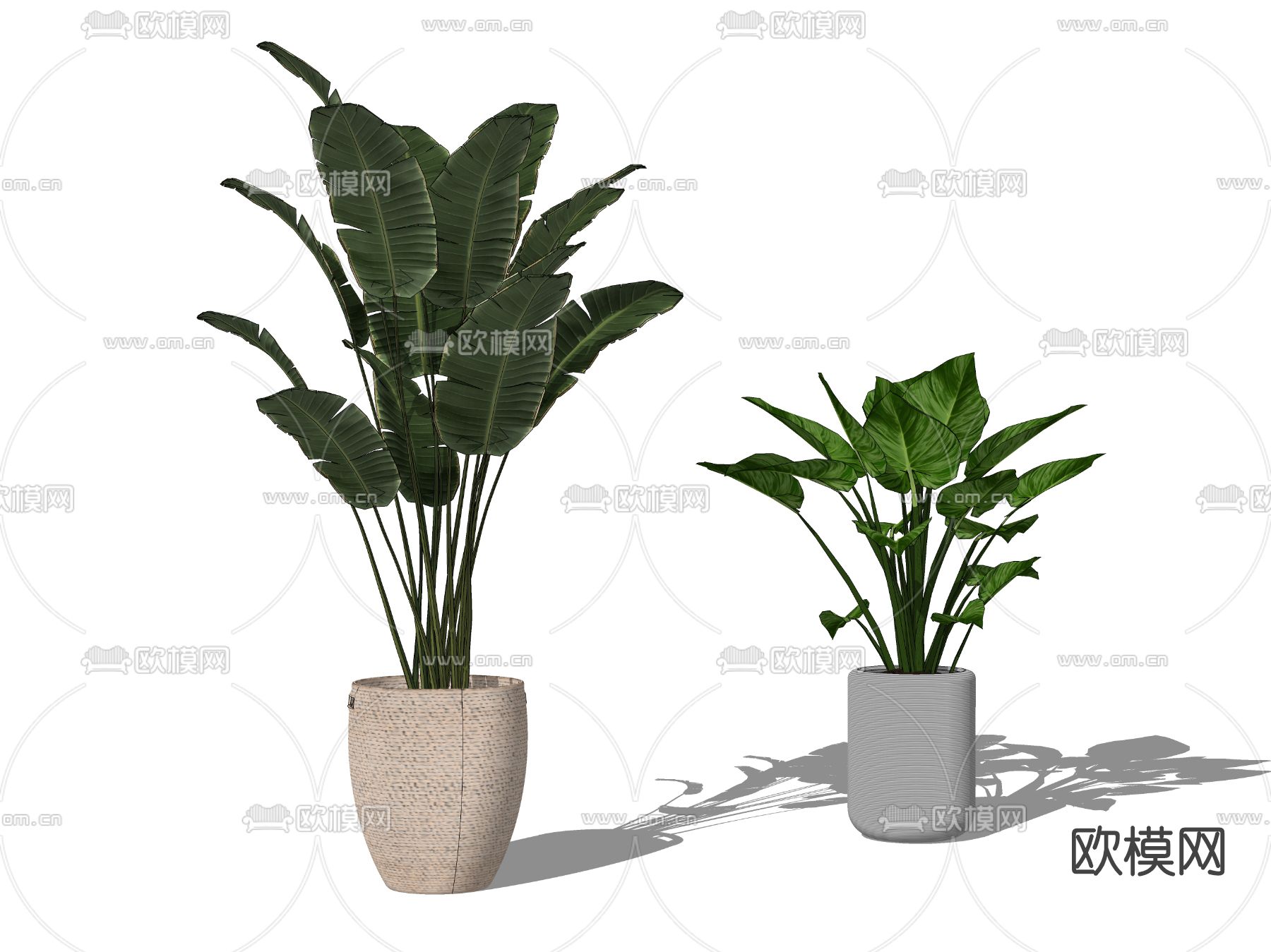 现代绿植盆栽su模型