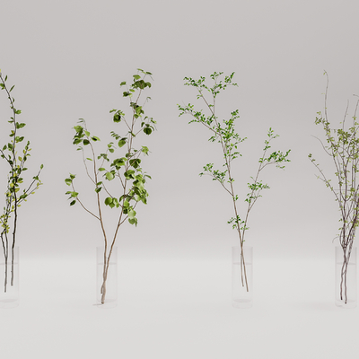 现代绿植花瓶su模型