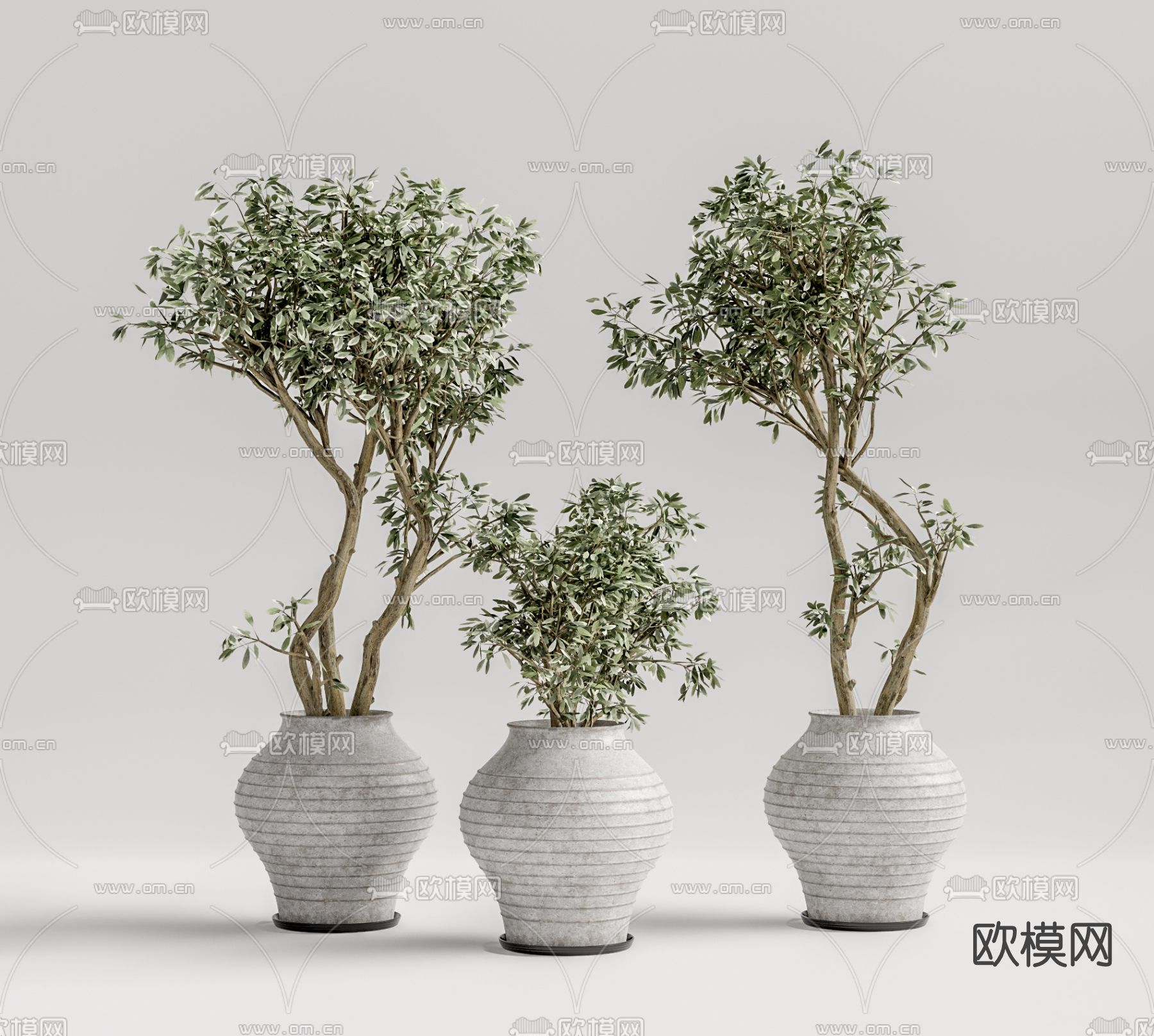 现代植物盆栽su模型