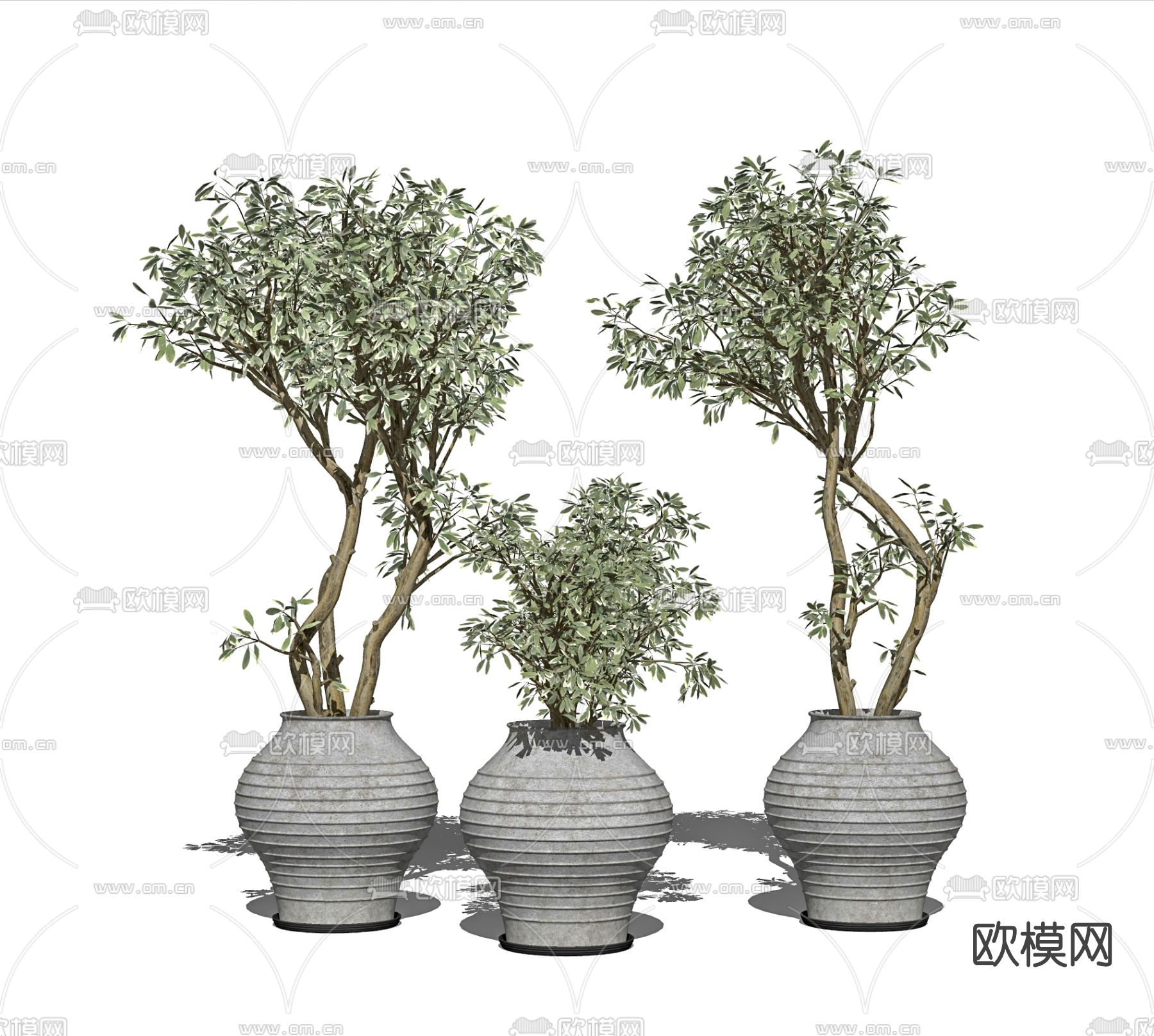 现代植物盆栽su模型