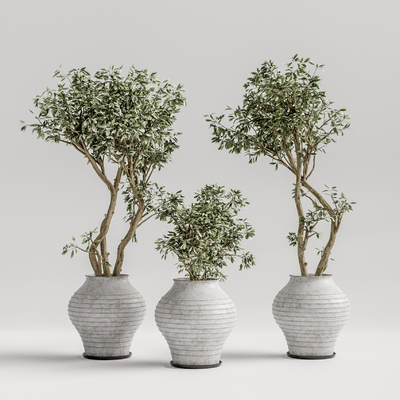 现代植物盆栽su模型