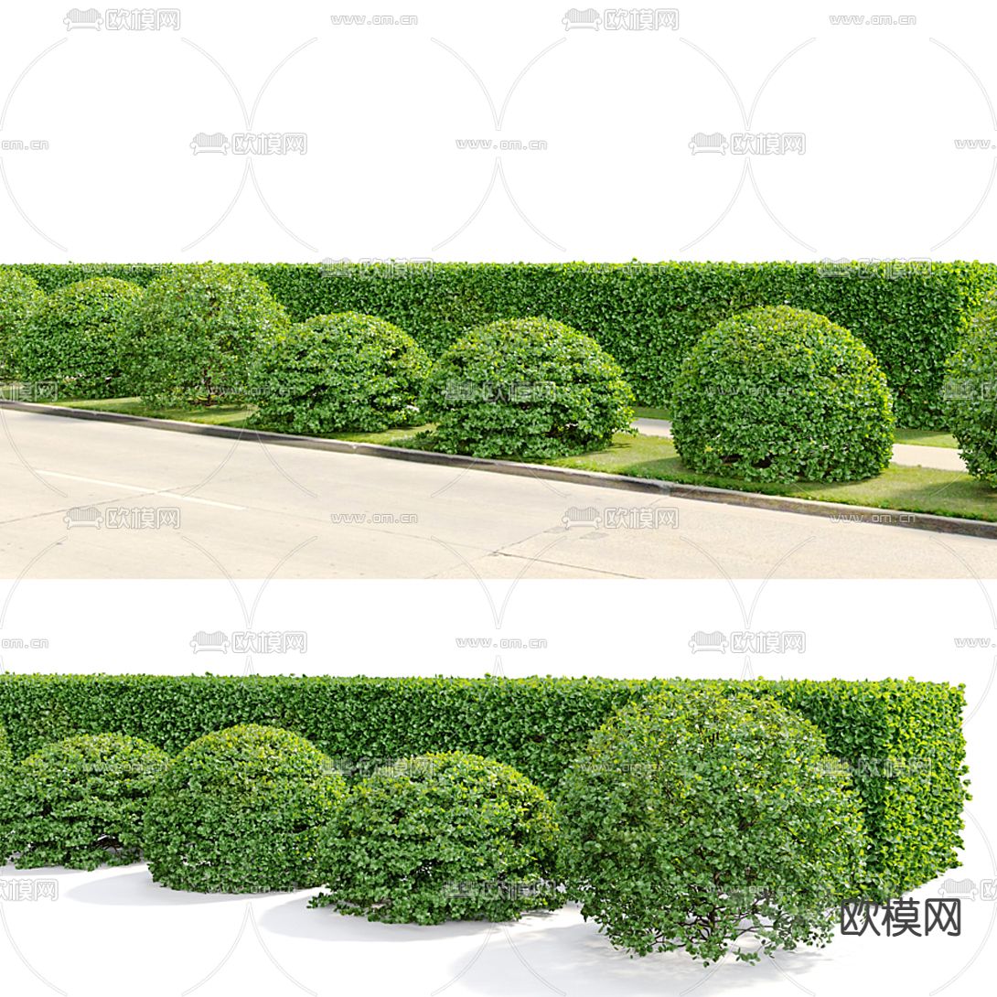 现代绿篱灌木3d模型