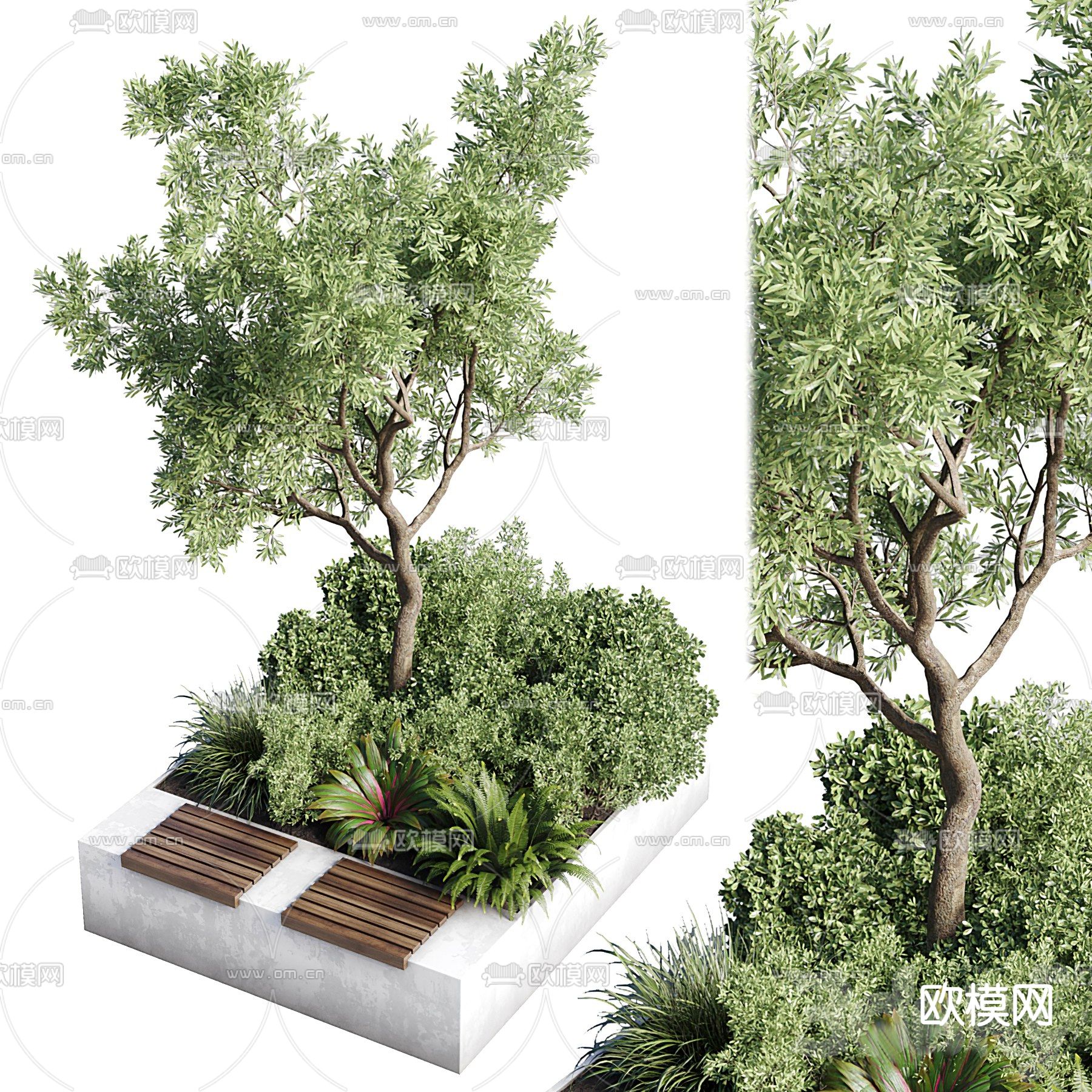 现代树池景观树3d模型