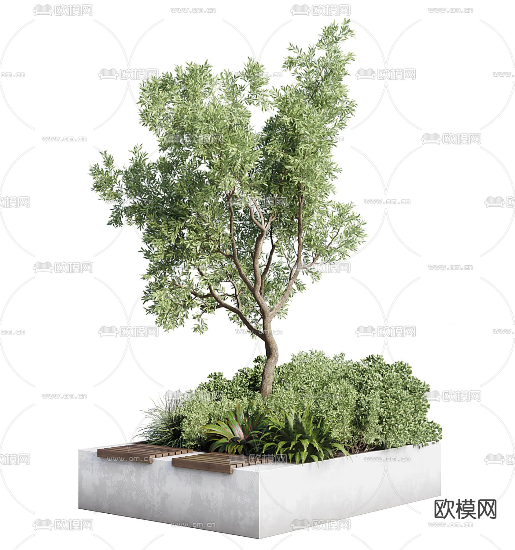 现代树池景观树3d模型