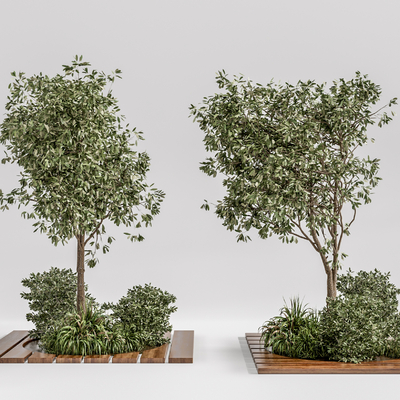  现代景观树su模型 