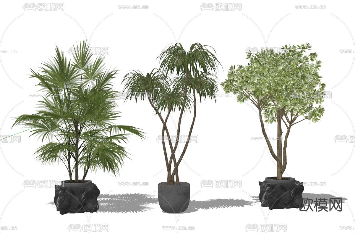 现代绿植盆栽su模型下载（渲染图2）