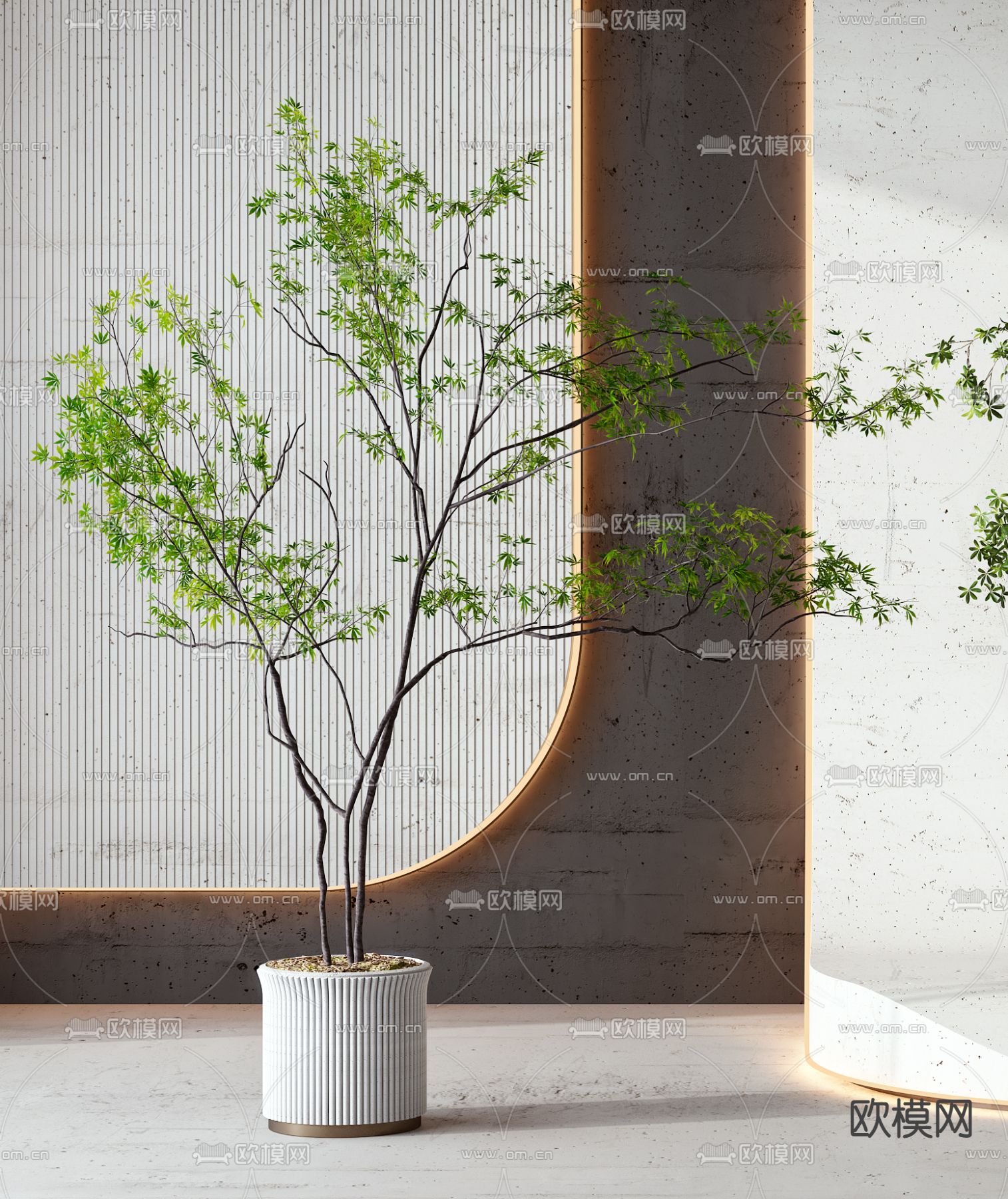 现代植物盆栽3d模型