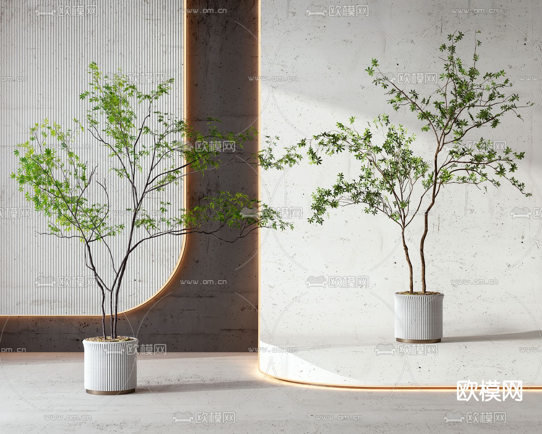 现代植物盆栽3d模型