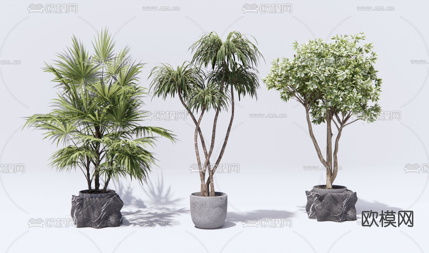 现代绿植盆栽su模型下载（渲染图1）