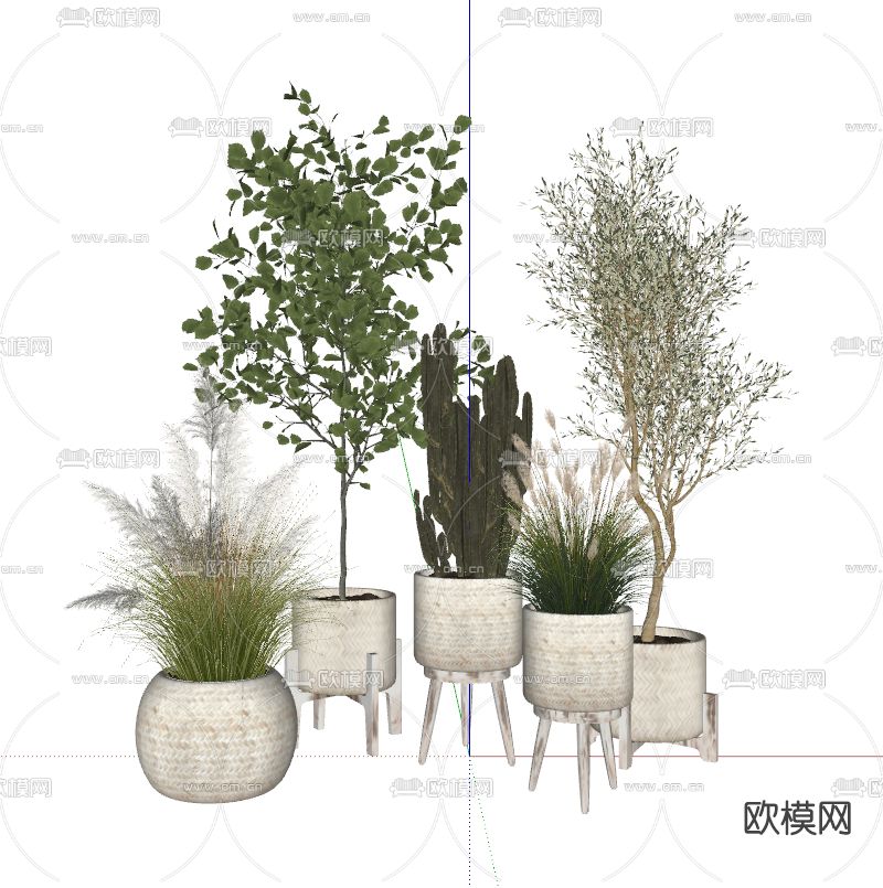 现代绿植盆栽su模型