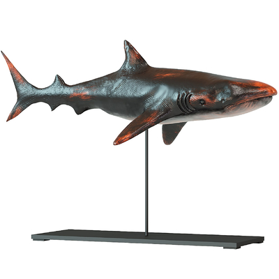 鲨鱼雕塑摆件3d模型