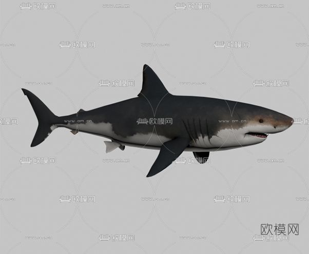 现代鲨鱼免费3d模型下载