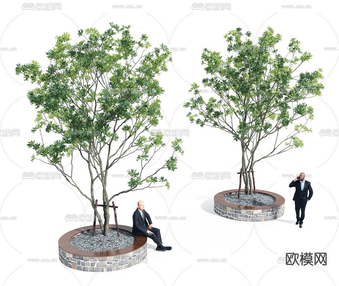 现代树池景观树3d模型下载
