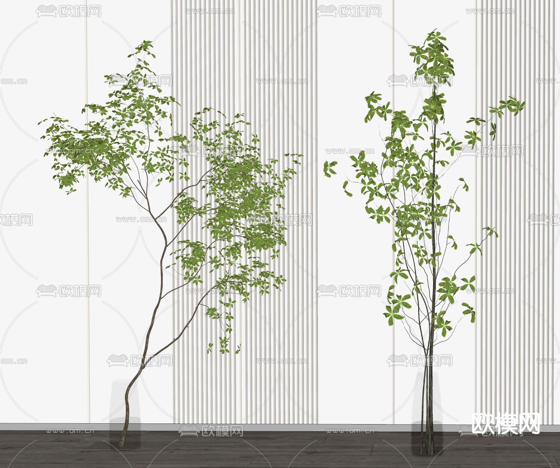现代植物su模型