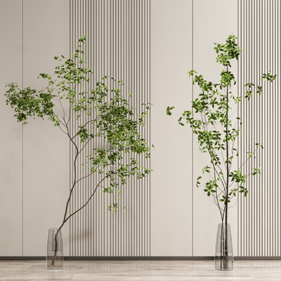  现代植物su模型 