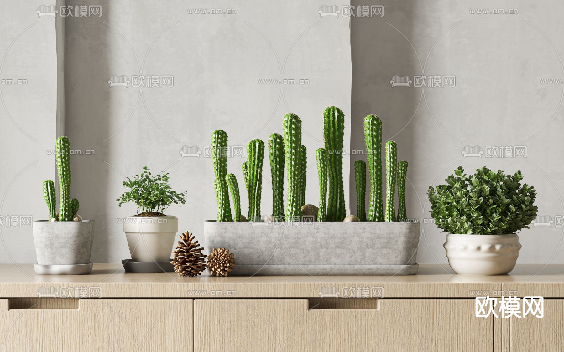 北欧仙人掌植物盆栽3d模型下载