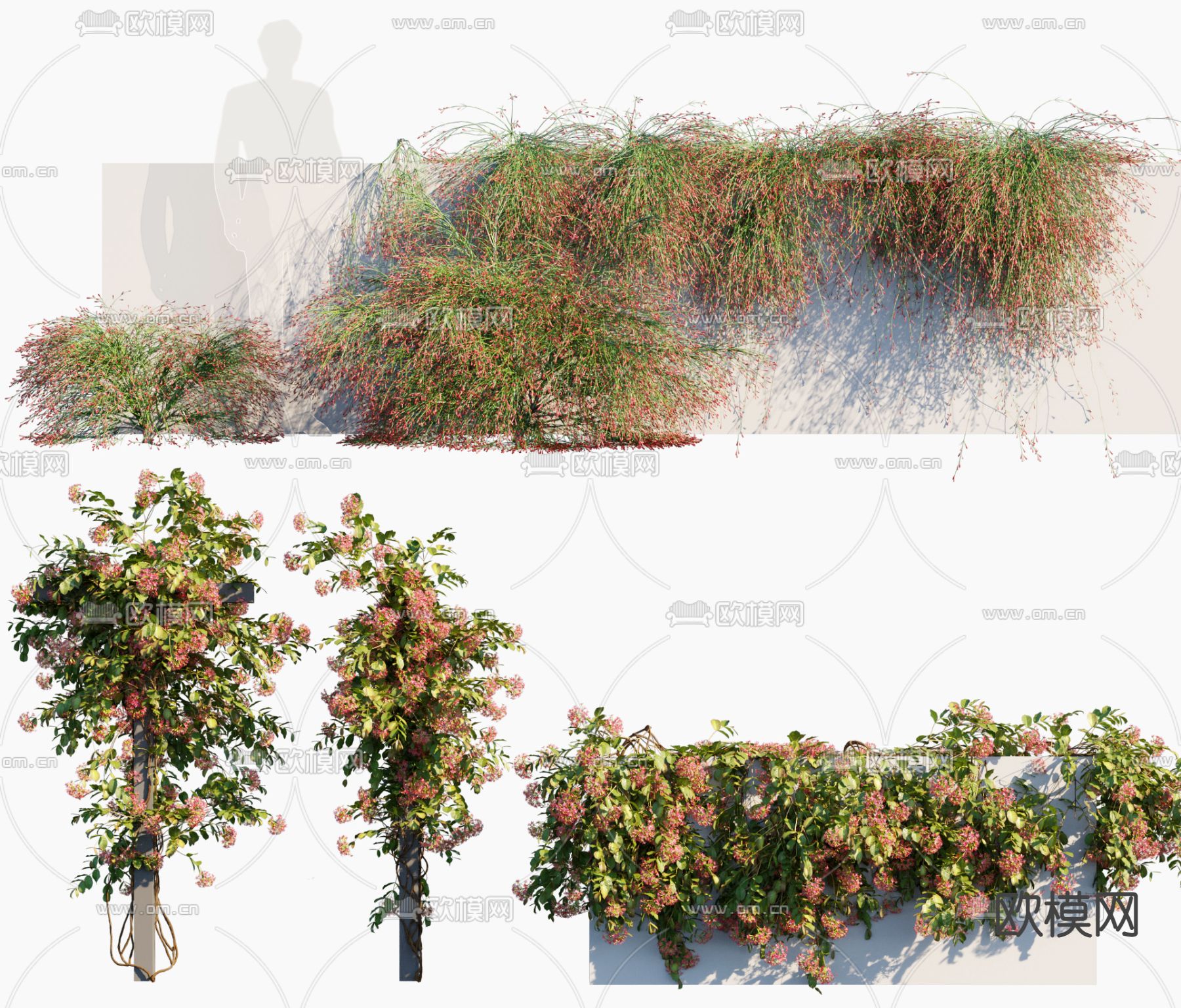 现代藤蔓植物3d模型