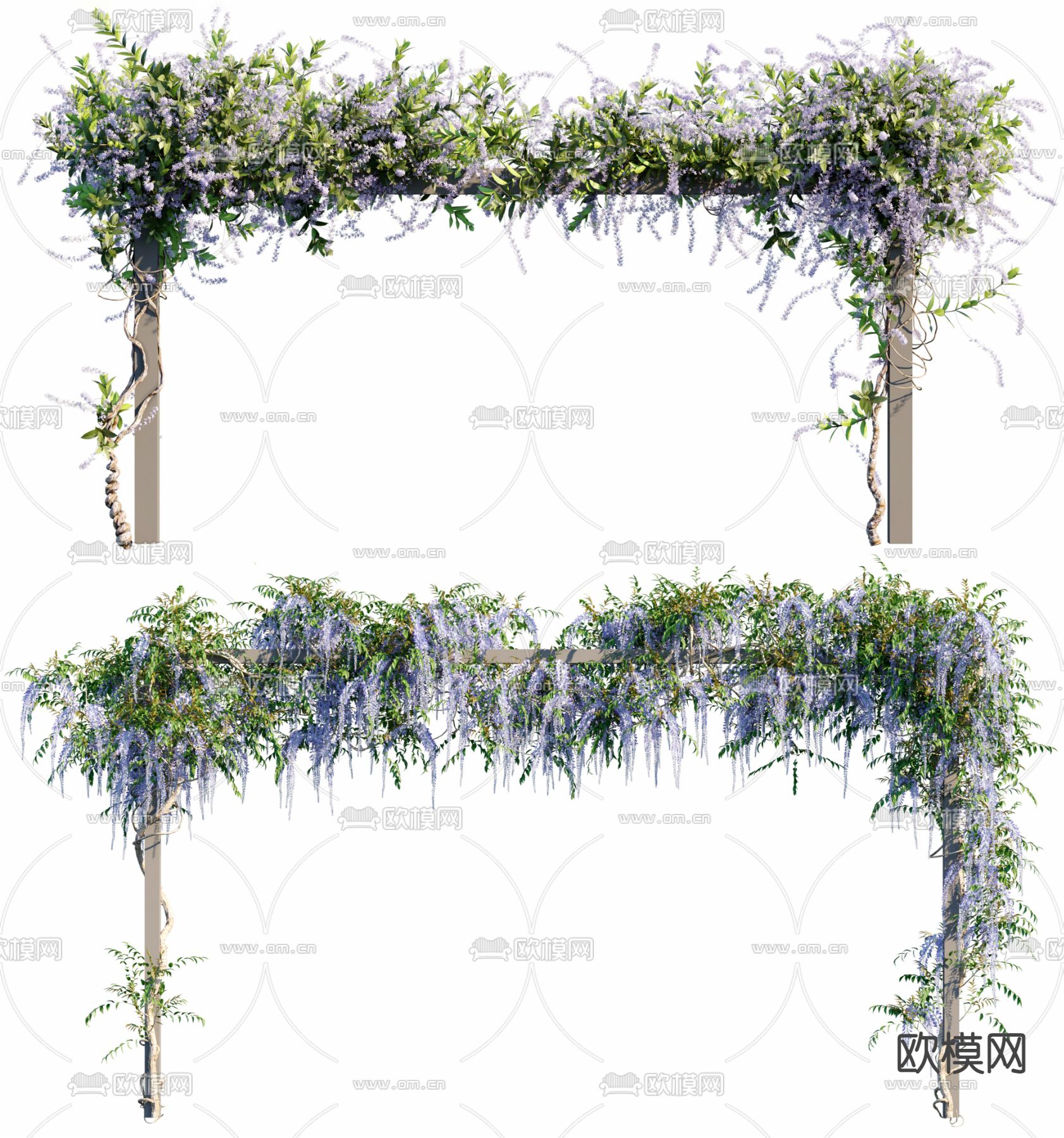 现代紫藤藤蔓3d模型下载