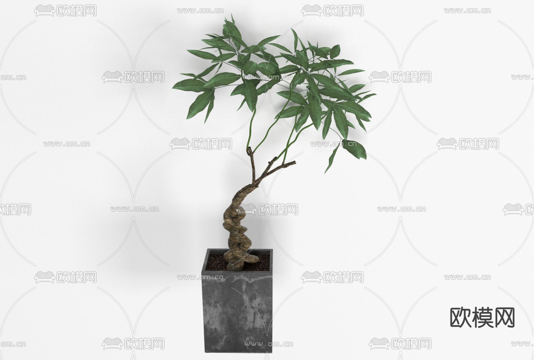 新中式绿植盆栽免费3d模型