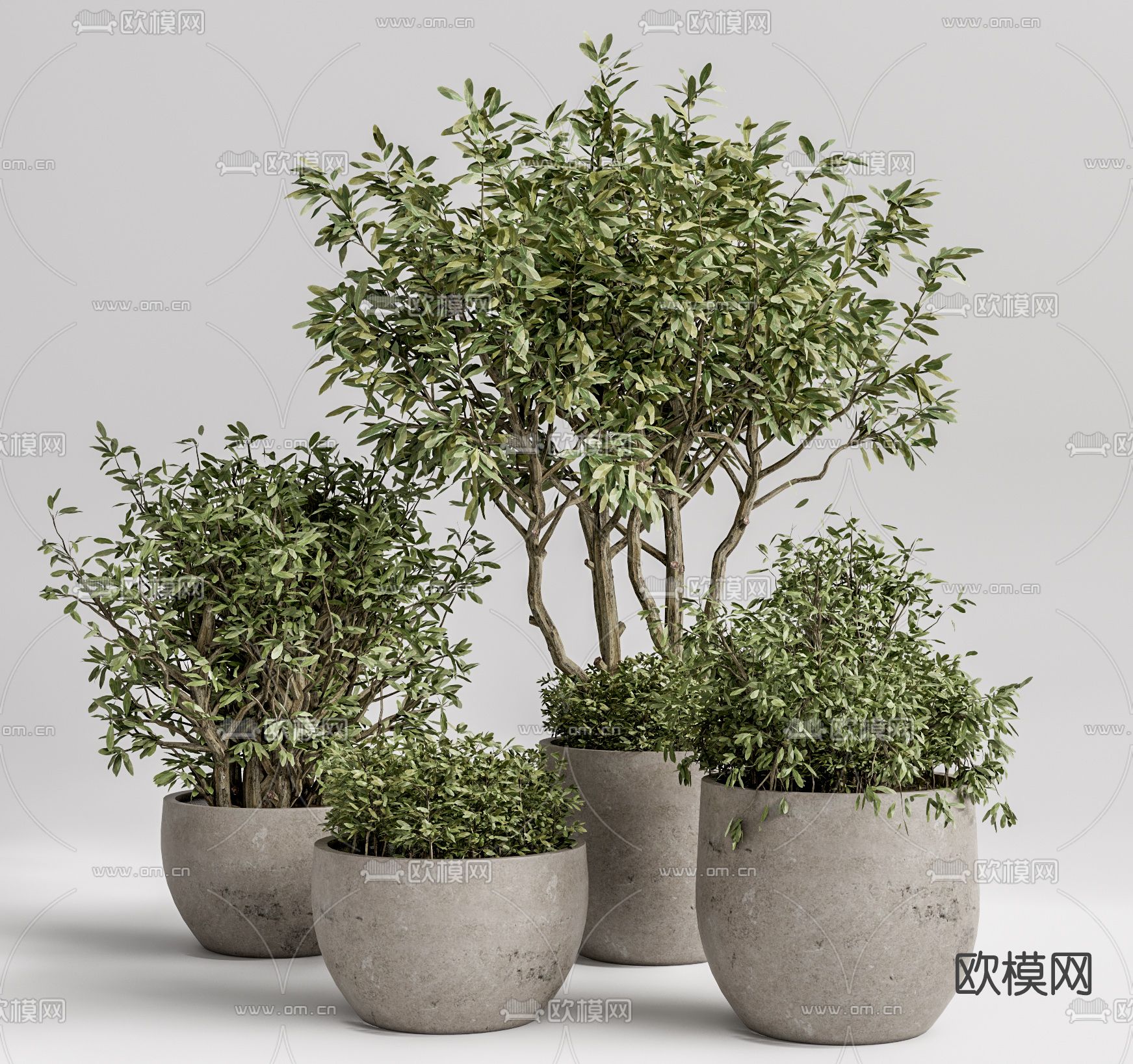 现代植物盆栽su模型